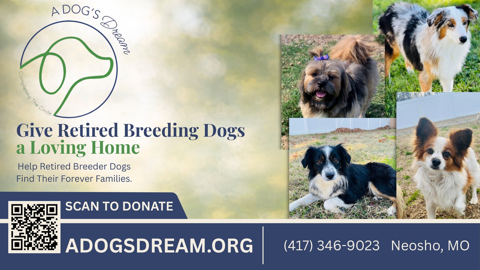 A Dog's Dream BrightLoop nonprofit ad